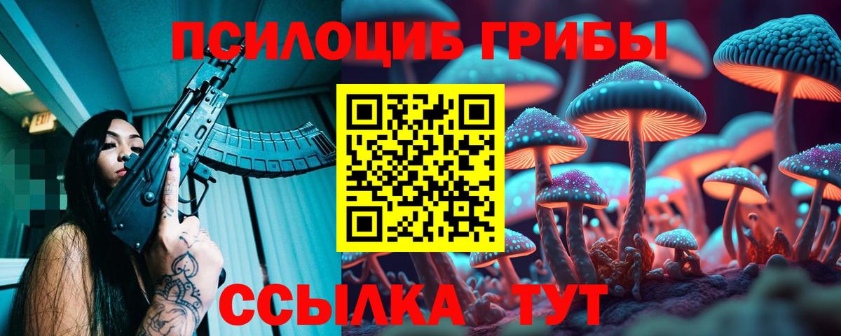 Псилоцибиновые грибы Psilocybe Кизилюрт