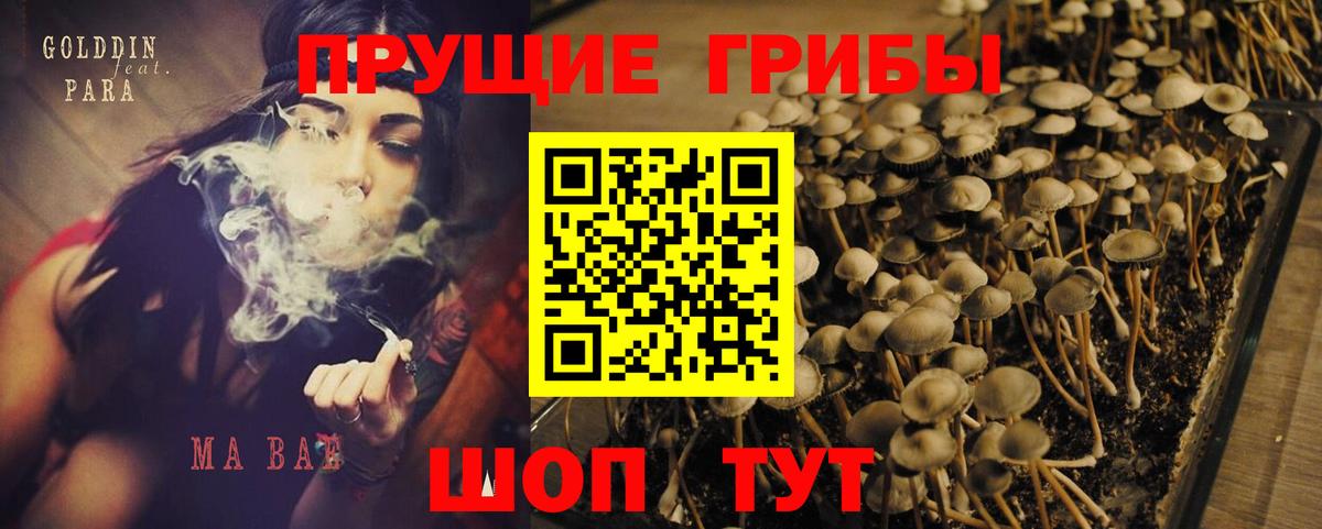 Кизилюрт  Псилоцибиновые грибы мицелий  закладка  Вход с VPN  Галлюциногенные грибы GOLDEN TEACHER 